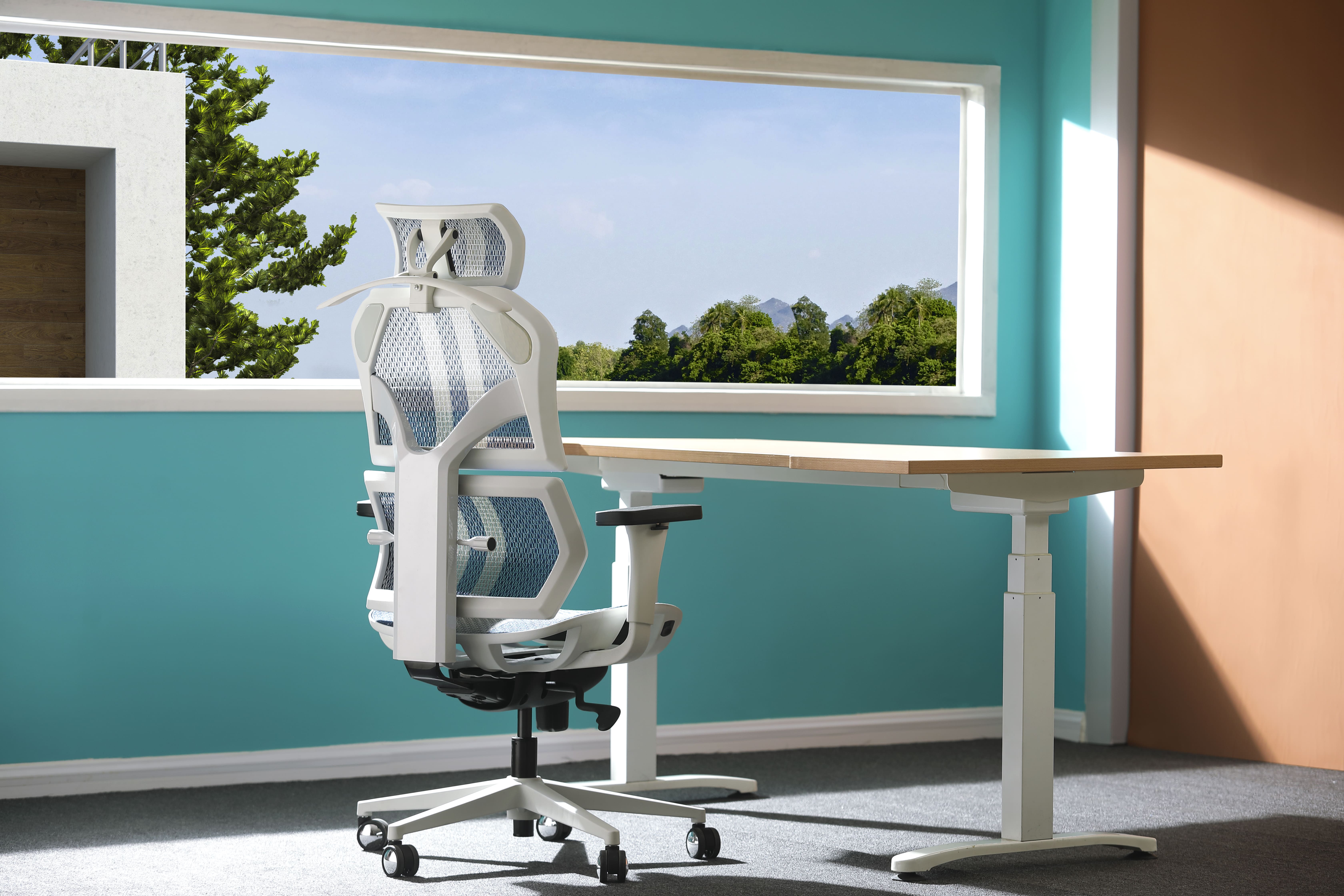 Choosing The Best Ergonomic Office Chair