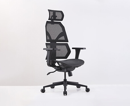 Mesh Office Chair with Adjustable Arms